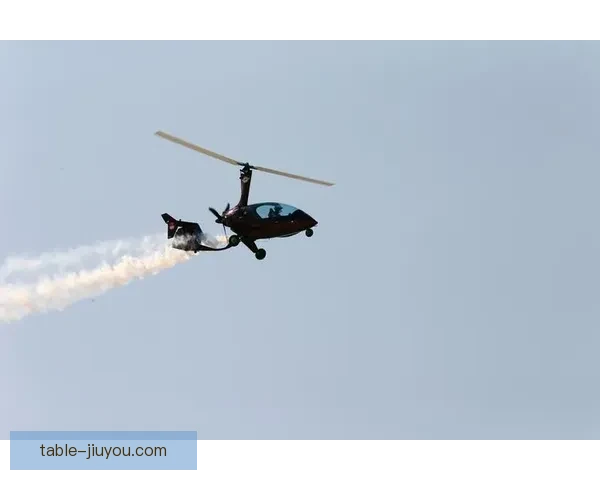 德莱蒙特逆袭巴斯库尔三比一胜利 揭秘关键时刻的绝妙策略与精彩瞬间