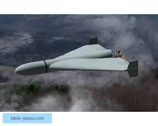 维雷登力克斯罗可候沃赛场精彩瞬间回顾与战术分析