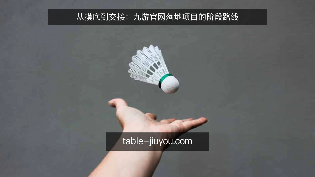 从摸底到交接:九游官网落地项目的阶段路线
